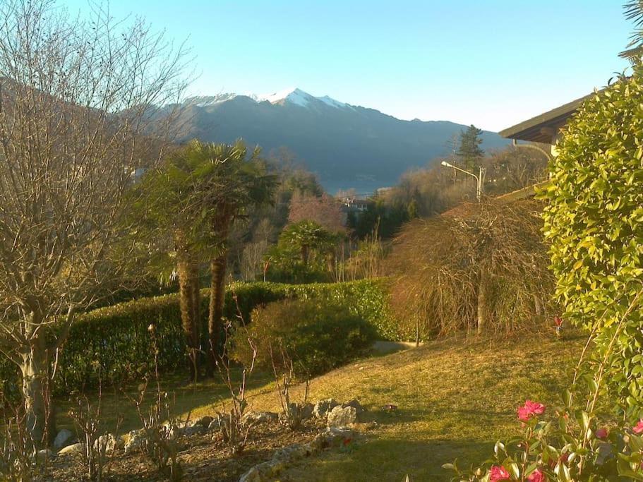La Tua Villa Sul Lago - Casa Kollegger Luino Dış mekan fotoğraf