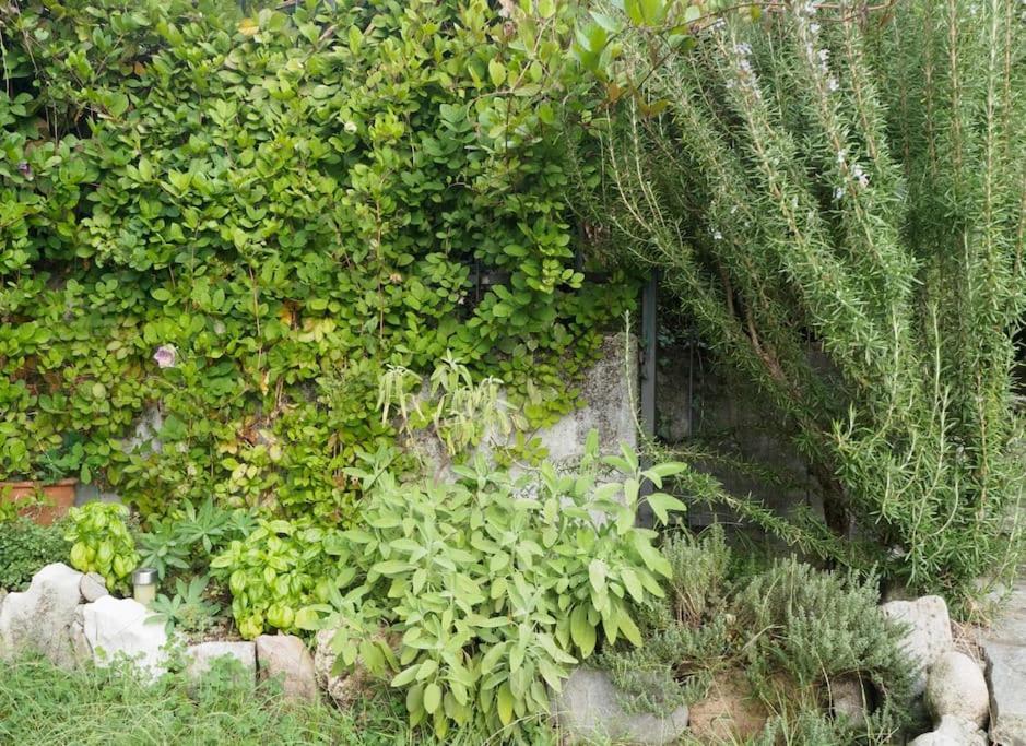 La Tua Villa Sul Lago - Casa Kollegger Luino Dış mekan fotoğraf